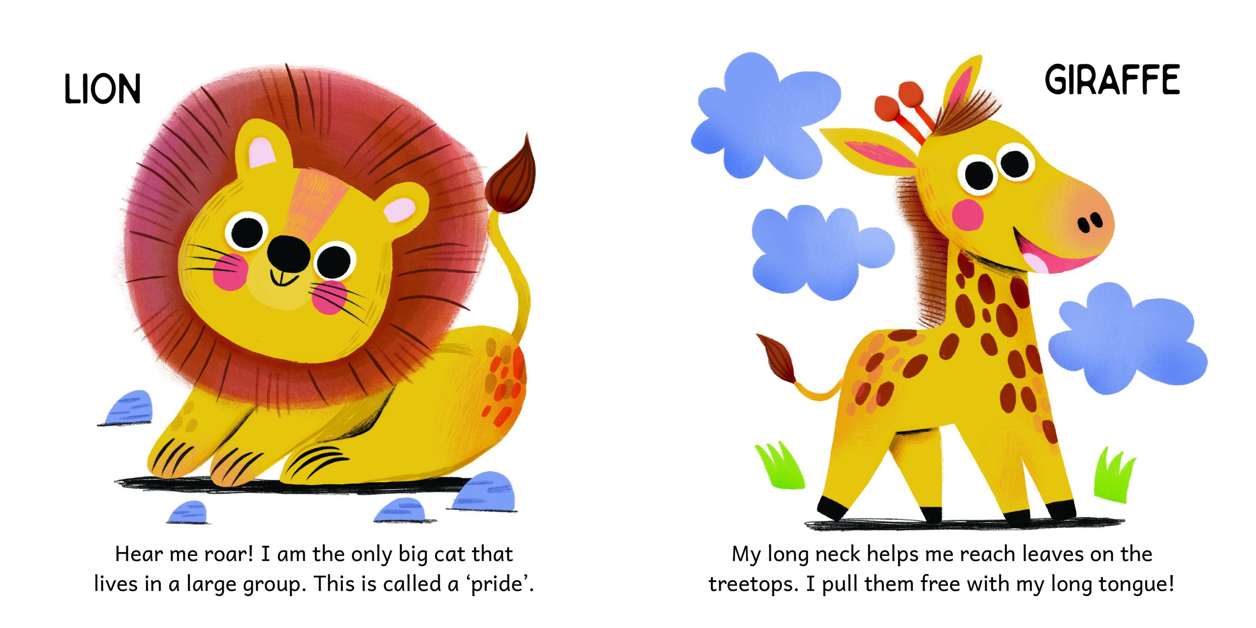 MLU-HR-CONT-ENG-ANIMALS-1