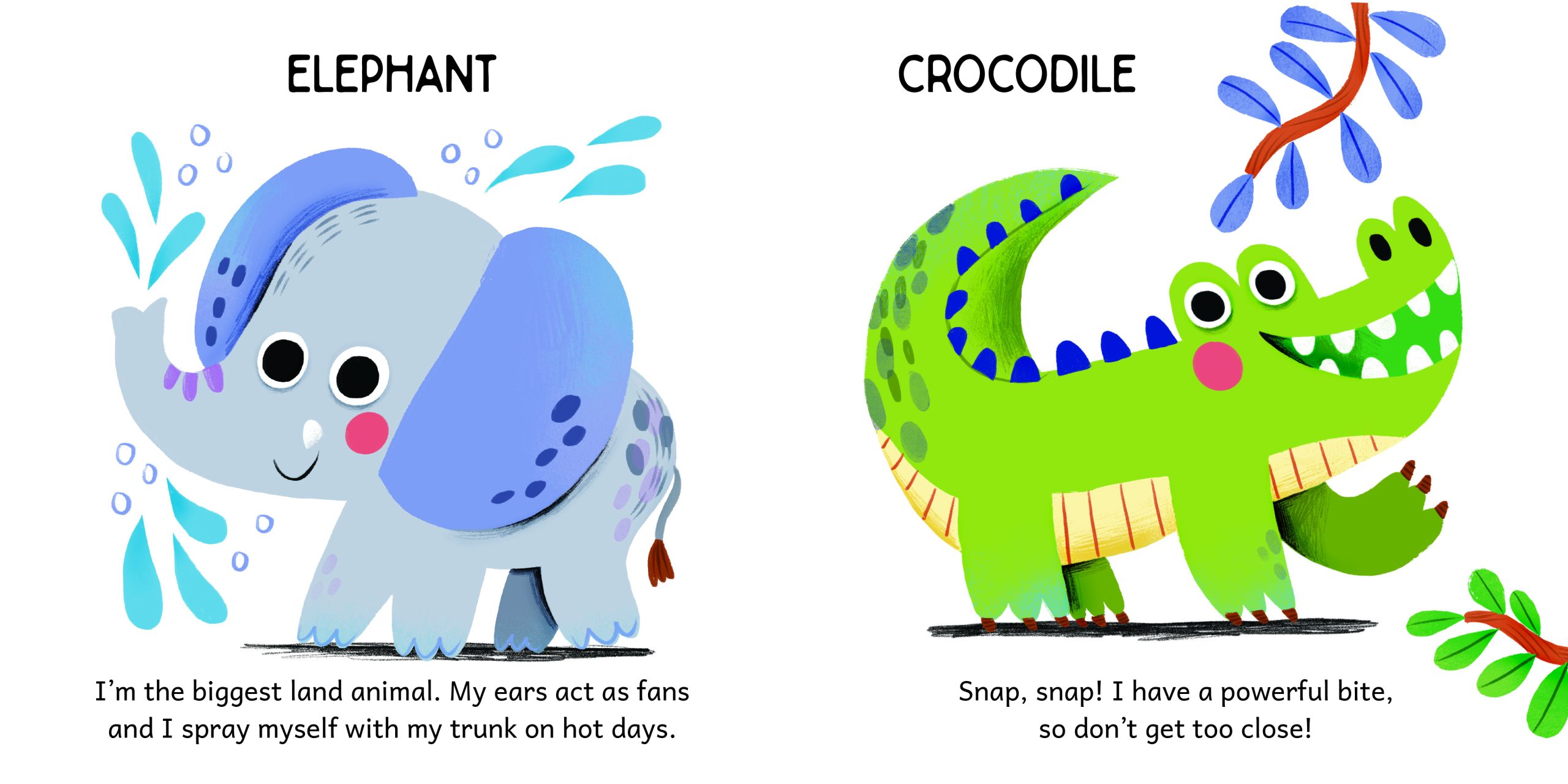 MLU-HR-CONT-ENG-ANIMALS-2